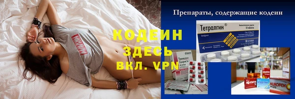 стаф Ельня