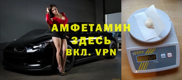 стаф Ельня
