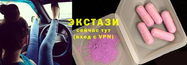 стаф Ельня