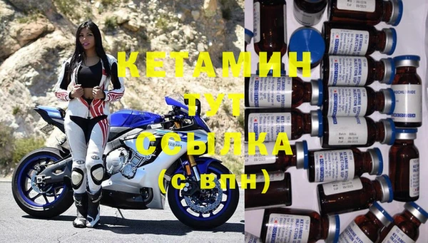 стаф Ельня