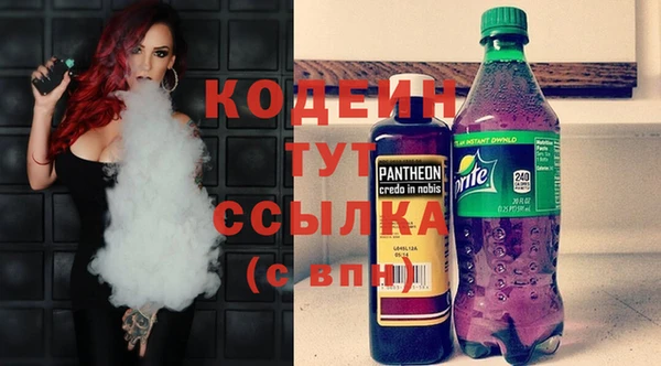 стаф Ельня
