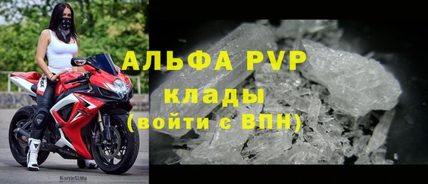 стаф Ельня
