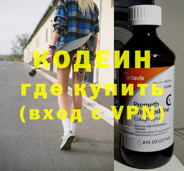 стаф Ельня