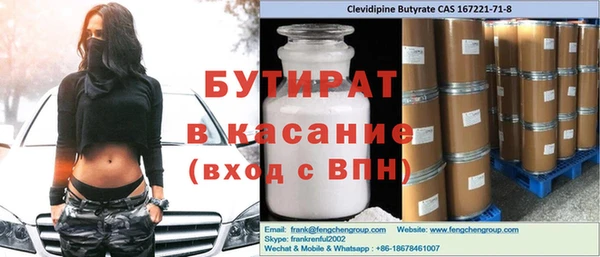 стаф Ельня