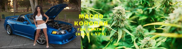 стаф Ельня