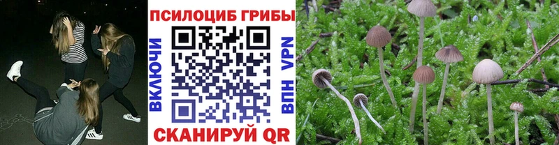 Галлюциногенные грибы Psilocybine cubensis  Похвистнево 