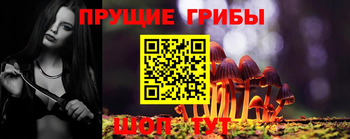 Похвистнево  Галлюциногенные грибы Psilocybine cubensis  Вход с VPN 